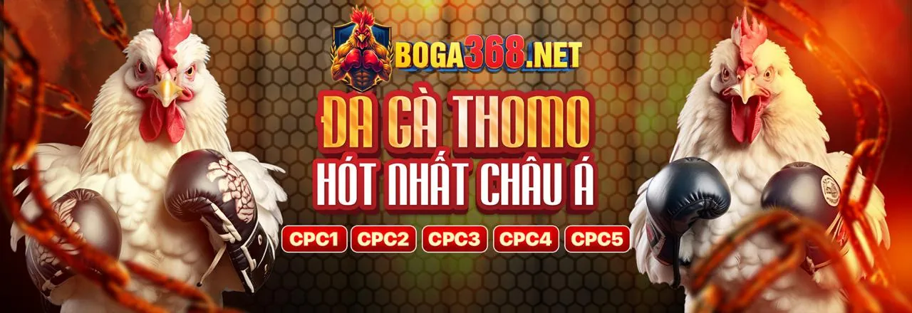 Sân vận động với ánh đèn rực rỡ, biểu tượng cho cá cược thể thao trực tuyến tại gacam67a link mới