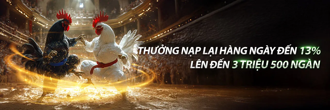 Gà Đá Trực Tiếp 2026 tại Gacam67a